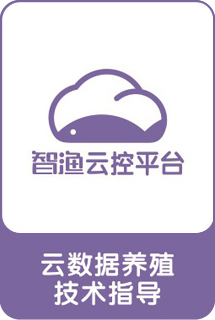 &#98;&#97;&#116;&#51;&#54;&#53;&#40;&#20013;&#22269;&#41;&#22312;&#32447;&#24179;&#21488;&#23448;&#26041;&#32593;&#31449;&#45;&#30331;&#24405;&#20837;&#21475;